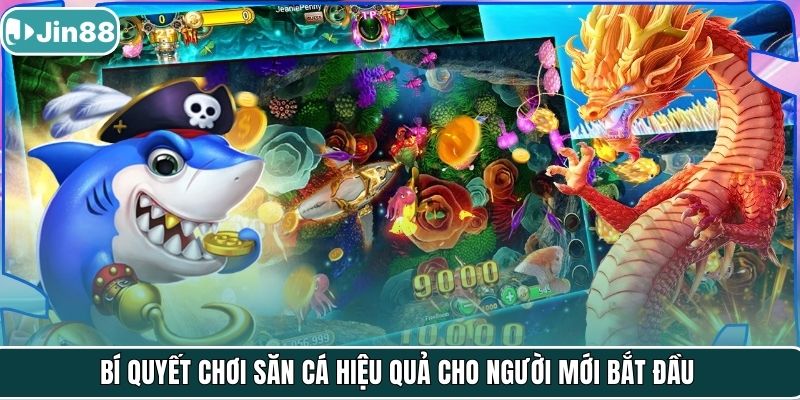 Bí quyết chơi săn cá hiệu quả cho người mới bắt đầu