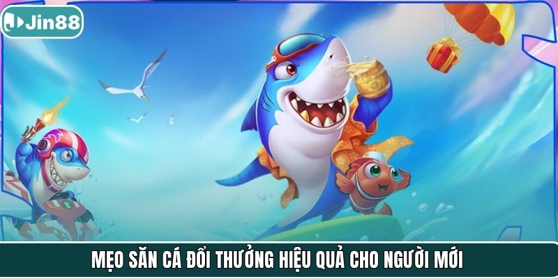 Mẹo săn cá đổi thưởng hiệu quả cho người mới